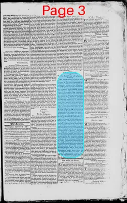 Page thumbnail for The Delaware Gazette