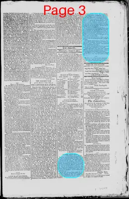 Page thumbnail for The Delaware Gazette
