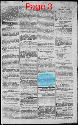 Page thumbnail for The Delaware Gazette