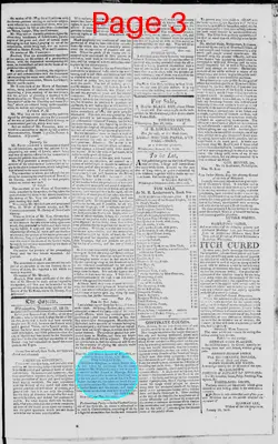 Page thumbnail for The Delaware Gazette