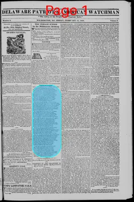 Page thumbnail for Delaware Patriot & American Watchman