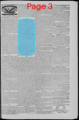Page thumbnail for Delaware Patriot & American Watchman