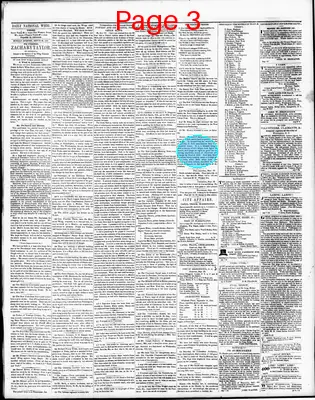 Page thumbnail for The Daily National Whig