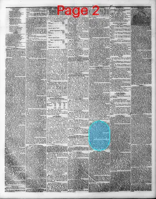 Page thumbnail for The Daily National Whig