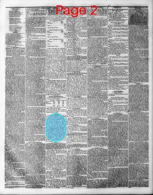 Page thumbnail for The Daily National Whig