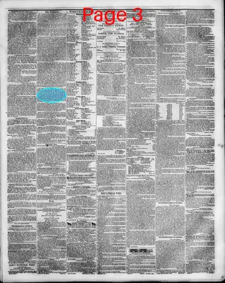 Page thumbnail for The Daily National Whig