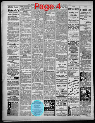 Page thumbnail for The Evening Critic