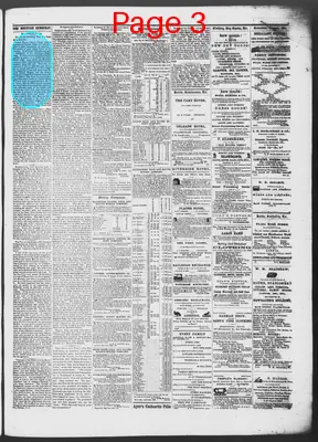 Page thumbnail for The Mountain Democrat