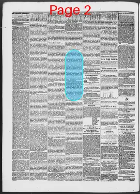 Page thumbnail for The Mountain Democrat