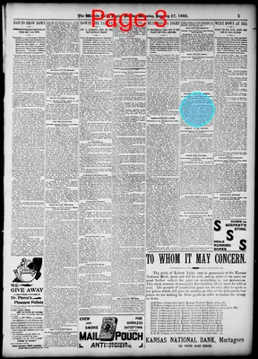 Page thumbnail for The Wichita Daily Eagle