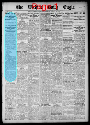 Page thumbnail for The Wichita Daily Eagle