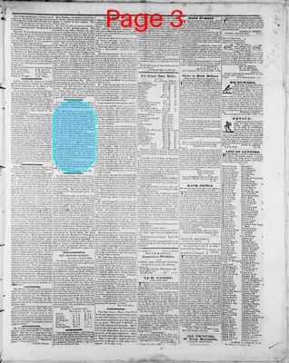 Page thumbnail for Washington Telegraph