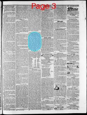 Page thumbnail for Washington Telegraph
