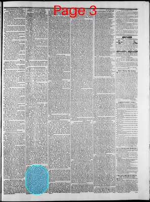 Page thumbnail for Washington Telegraph