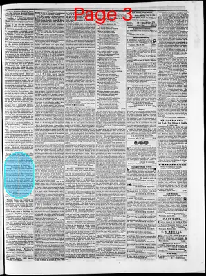 Page thumbnail for Washington Telegraph