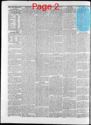 Page thumbnail for Washington Telegraph