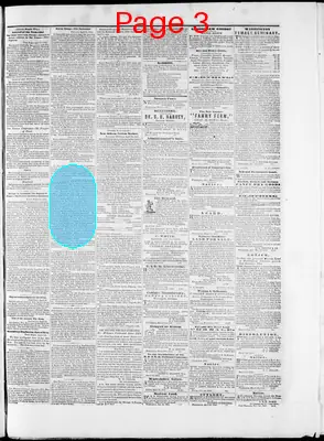 Page thumbnail for Washington Telegraph