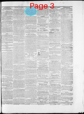 Page thumbnail for Washington Telegraph