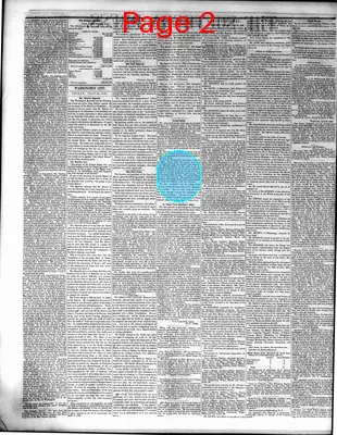 Page thumbnail for The Southern Press