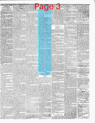 Page thumbnail for The Southern Press