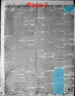 Page thumbnail for The Southern Press