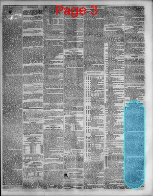 Page thumbnail for The Southern Press