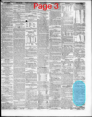 Page thumbnail for The Southern Press
