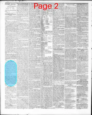 Page thumbnail for Washington Sentinel