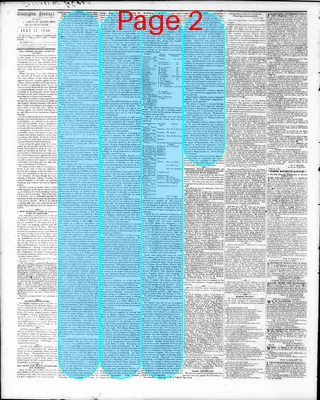 Page thumbnail for Washington Sentinel