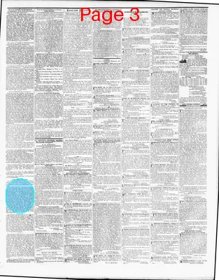 Page thumbnail for Washington Sentinel