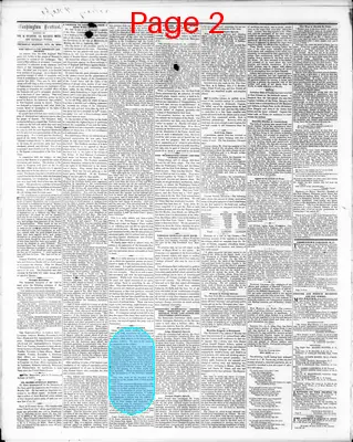 Page thumbnail for Washington Sentinel