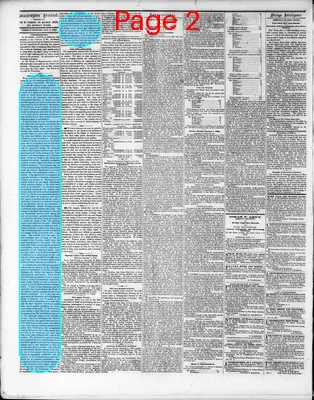 Page thumbnail for Washington Sentinel