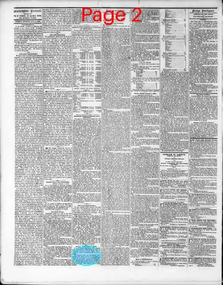 Page thumbnail for Washington Sentinel