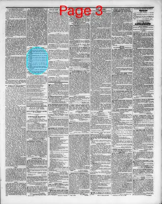 Page thumbnail for Washington Sentinel