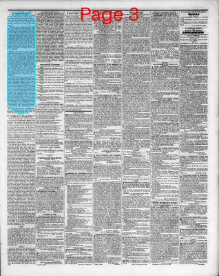 Page thumbnail for Washington Sentinel