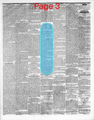 Page thumbnail for Washington Sentinel