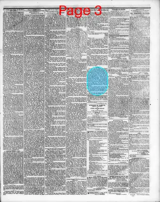 Page thumbnail for Washington Sentinel