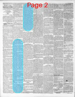 Page thumbnail for Washington Sentinel