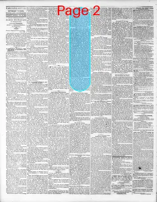 Page thumbnail for Washington Sentinel