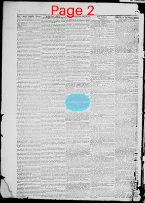 Page thumbnail for The Empire County Argus