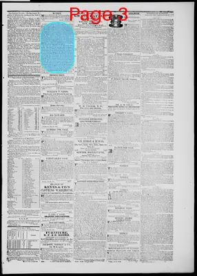 Page thumbnail for The Empire County Argus