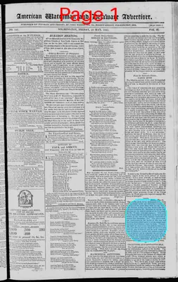 Page thumbnail for American Watchman And Delaware Advertiser