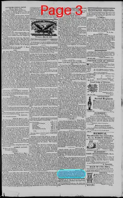 Page thumbnail for American Watchman And Delaware Advertiser