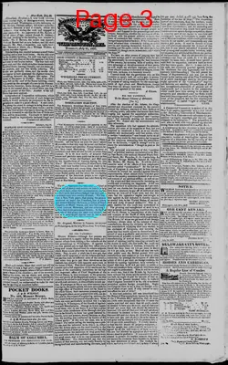 Page thumbnail for American Watchman And Delaware Advertiser