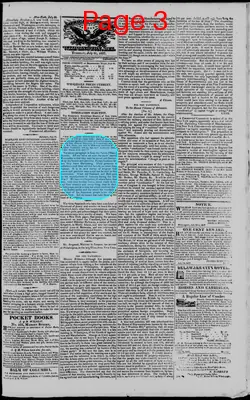 Page thumbnail for American Watchman And Delaware Advertiser