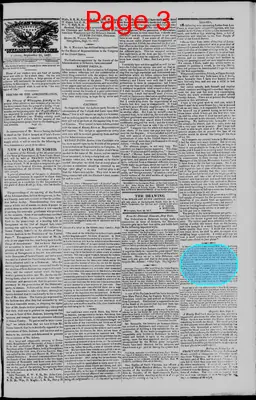 Page thumbnail for American Watchman And Delaware Advertiser