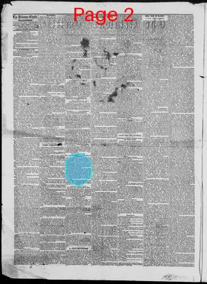 Page thumbnail for Delaware Gazette