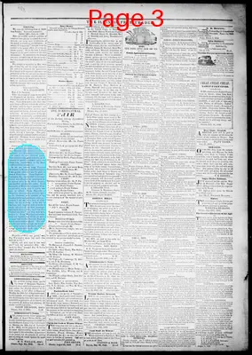 Page thumbnail for The Illinois Free Trader And Lasalle County Commercial Advertiser