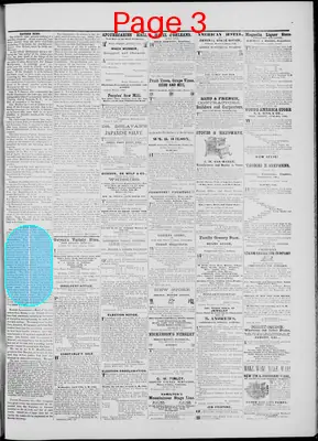 Page thumbnail for The Placer Herald