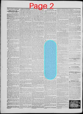 Page thumbnail for The Placer Herald